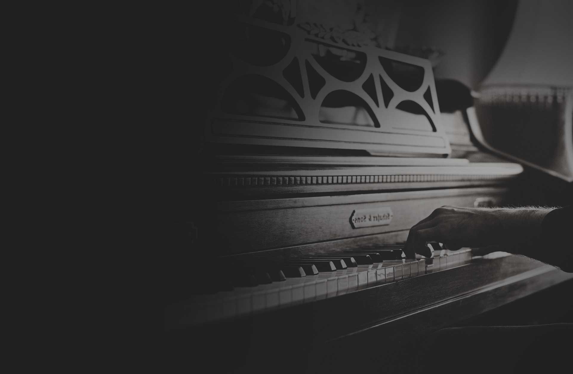 فروشگاه راتین کالا